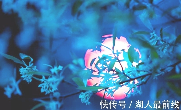 佳期&文征明中秋对月,浪漫词情笔下写,有青雀与嫦娥还有香醪溢宫阙