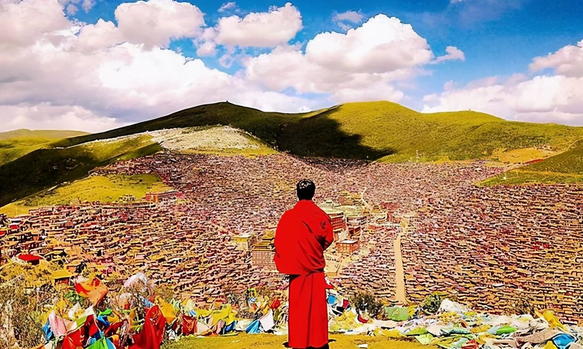 果园|智者虚怀若谷，愚者格格不入