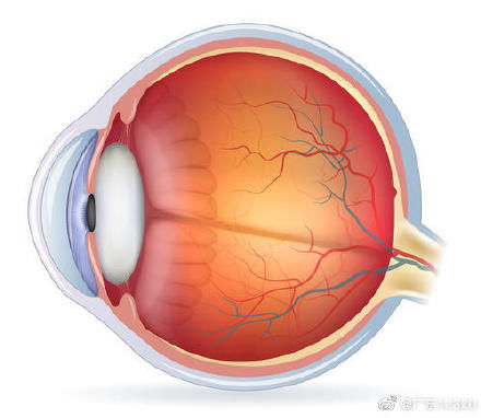 咳嗽|为什么剧烈咳嗽会导致视网膜脱离？