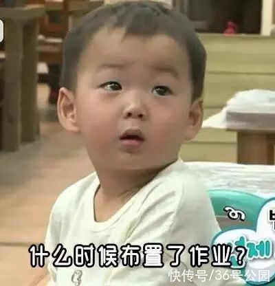 参与感|36号公园推荐|让孩子心甘情愿写作业,大脑输出积极信号很关键