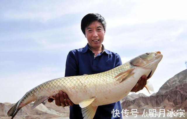 野钓，黑坑和竞技钓竿的核心在于垂钓特性---皇禾钓具