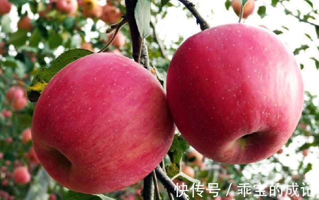 心脑血管|想长寿要多吃三种食物,排毒养颜,延缓衰老,好处多多