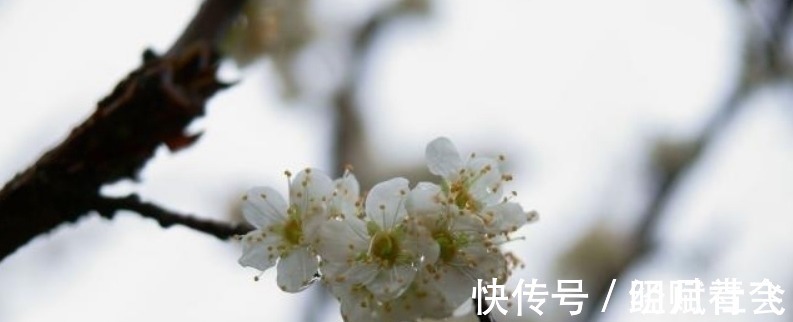 春天里@李煜水平很高的一首词,通篇都在描写忧愁,可是却没有一个愁字!