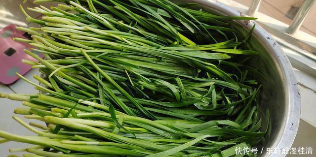 正月初五财神到,这个馅“发财”饺子得吃,寓意财运久久,福气到