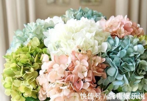 种花|家里万万不要养这3种花,难怪身体越住越差,后悔我家现在才听说