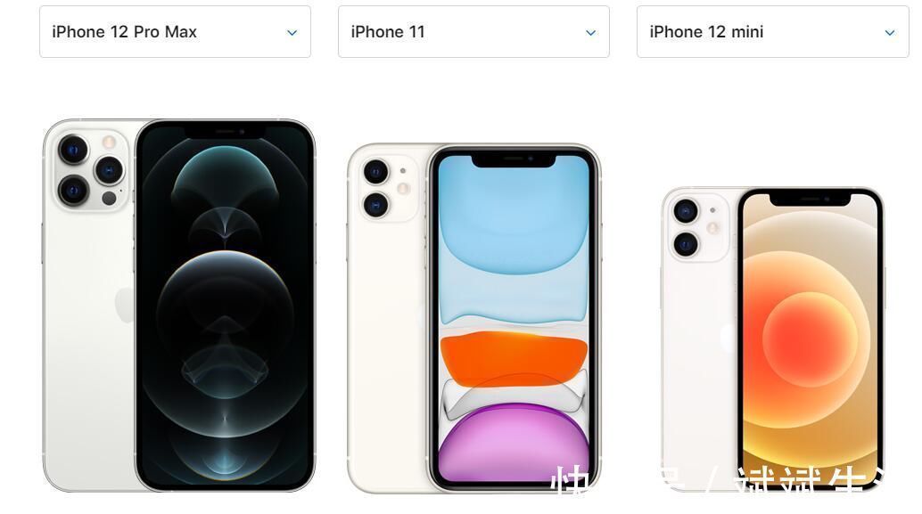手机|别再说喜欢小屏旗舰，连iPhone12都撑不住！销量最差是它
