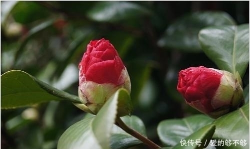 能在农历这三月出生的女人 一生都是幸运的 富贵相伴 福气永享 快资讯 能在农历这三月出生的女人 一生都是幸运的 富贵相伴 福气永享 快资讯