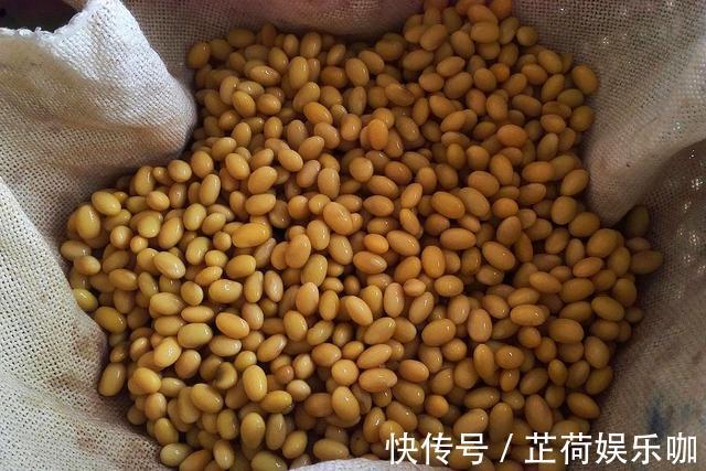 黄豆|教你在家发豆芽，不用土壤不用肥料，3天就能吃，脆嫩营养又卫生