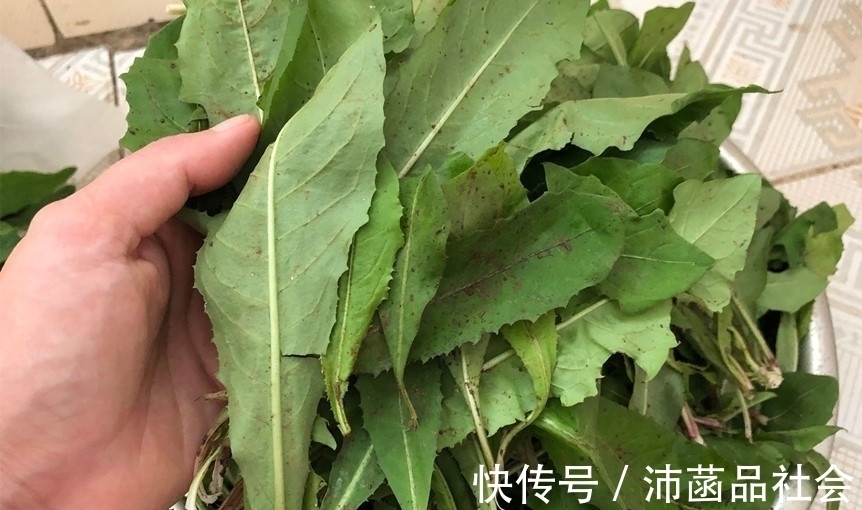 杀菌消炎|天然“青霉素”被找到，隔三岔五吃，杀菌消炎防感冒，别不懂吃