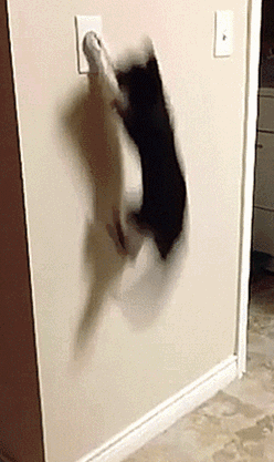 |搞笑GIF：今天和女朋友出门忘记带药怎么办