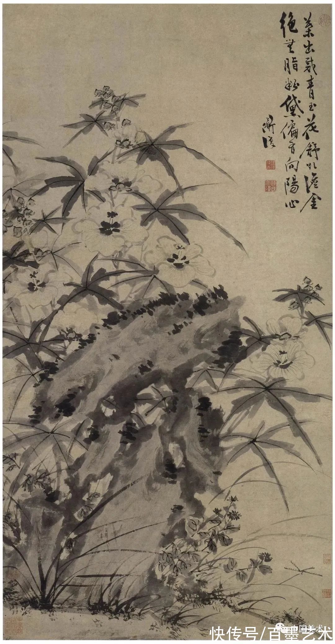 明朝@青藤白阳：明朝花鸟两大高峰