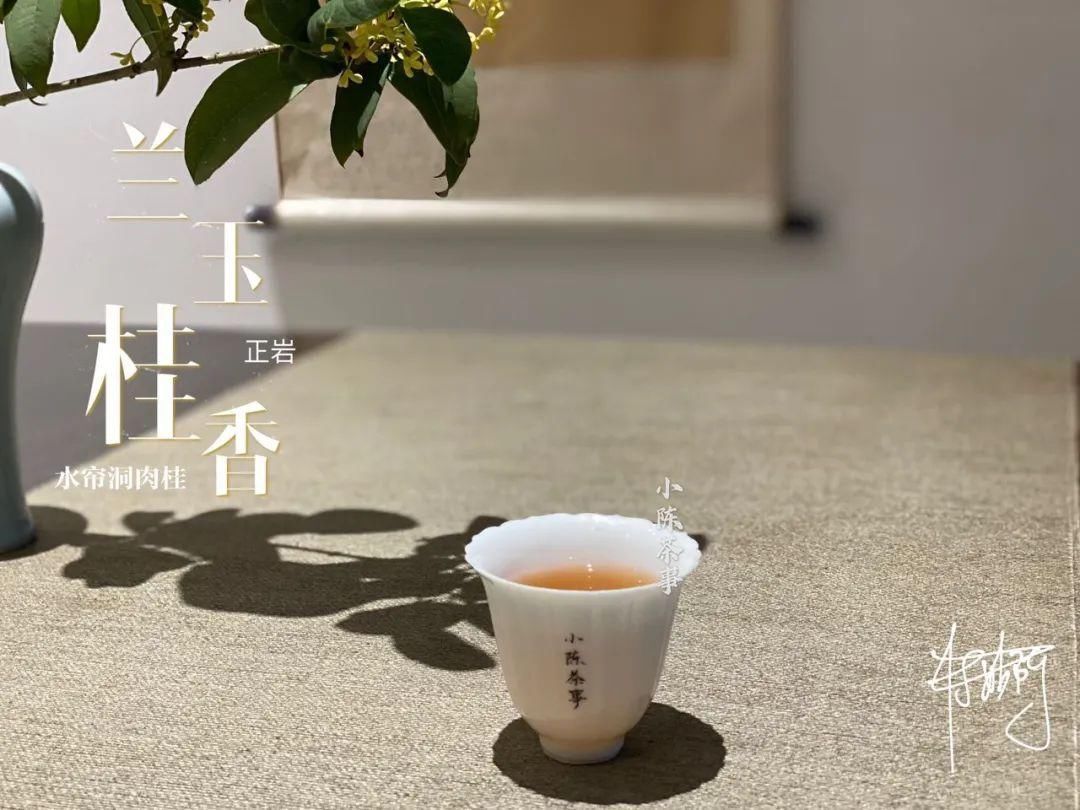 学术讨论|武夷岩茶还魂汤的学术讨论,专家不喝,茶客必留,这是为什么呢