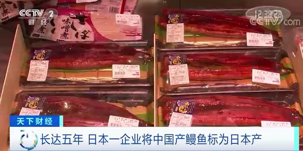 产地|中国鳗鱼被伪造成“日本鳗鱼”，造假达5年！网友：吃不出来？