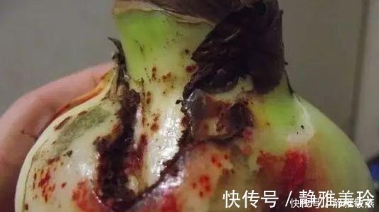 家中养花,这5毛钱的小东西别乱丢,能让花蹿到2米高,你知道了吗