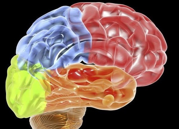 头晕|脑供血不足需重视,经常头晕、头痛要注意,正确预防治疗才正确