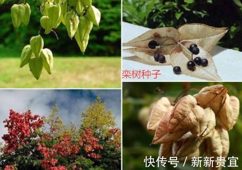 六年级|12岁女儿把家里的万元电视砸了,不满家长批评教育,孩子火气真大