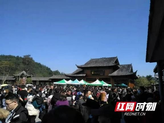 中年|牛年第一天，叶红专调研矮寨奇观旅游区