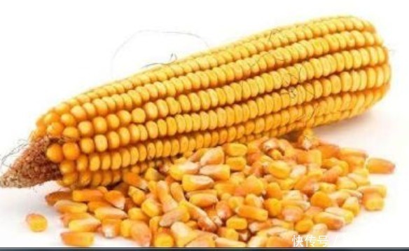 吴医师|爱吃玉米的注意每天晚上吃1根玉米，1个月后身体会有惊喜变化