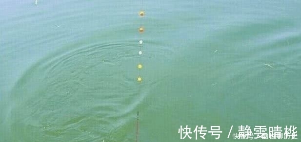 杆子|七星漂钓鱼有何优势?了解这些过后,你会对七星漂有一个新的认识