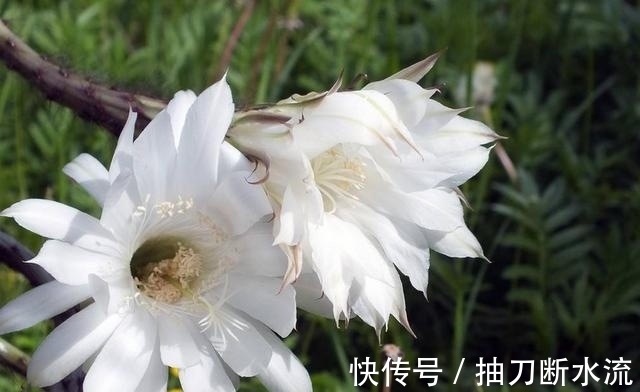 分寸|哪3个月份出生的人,说话有分寸,做人有风度,赚钱之路顺到老