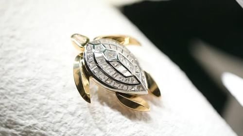 Tiffany 家最大的钻石，好闪！