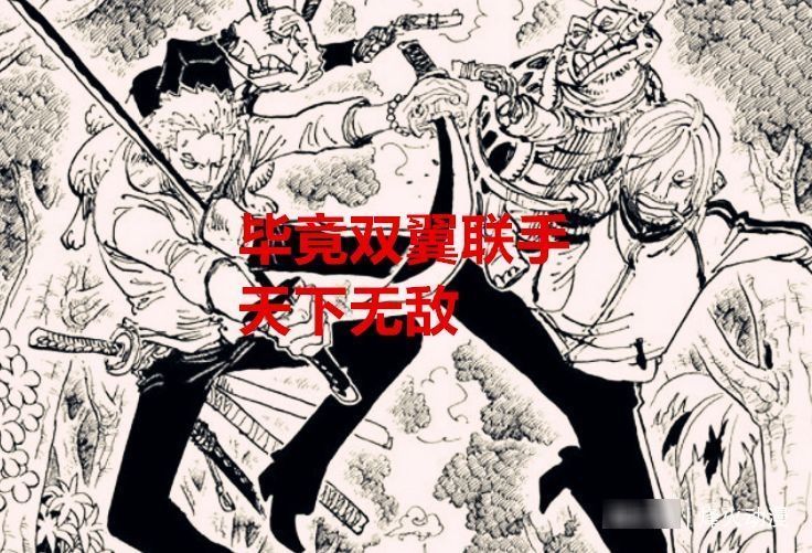 百兽海贼团|海贼王1029话:为何霍金斯不用女人当替身?网友:女生没有命根子