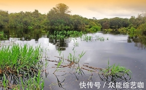 亚马逊|世界上最大的热带雨林，面积超过大半个中国，号称“地球之肺”