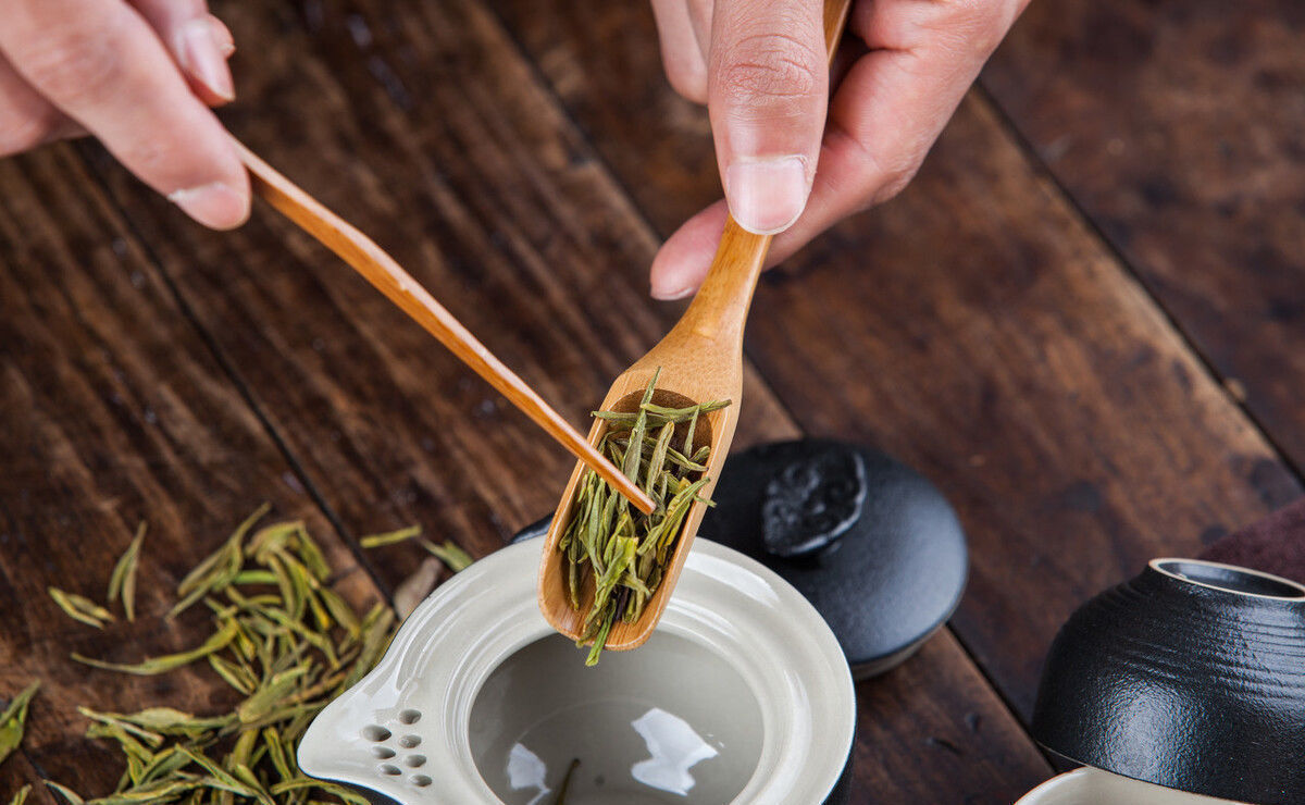 异味|茶叶都需要放冰箱吗你可能被骗了好多年