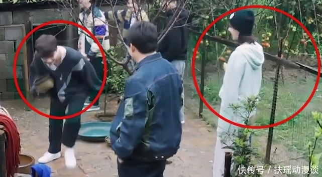 黄老师|张艺兴成第二个鹿晗?为满足杨紫主动去鸡窝拿蛋,家长带头磕cp