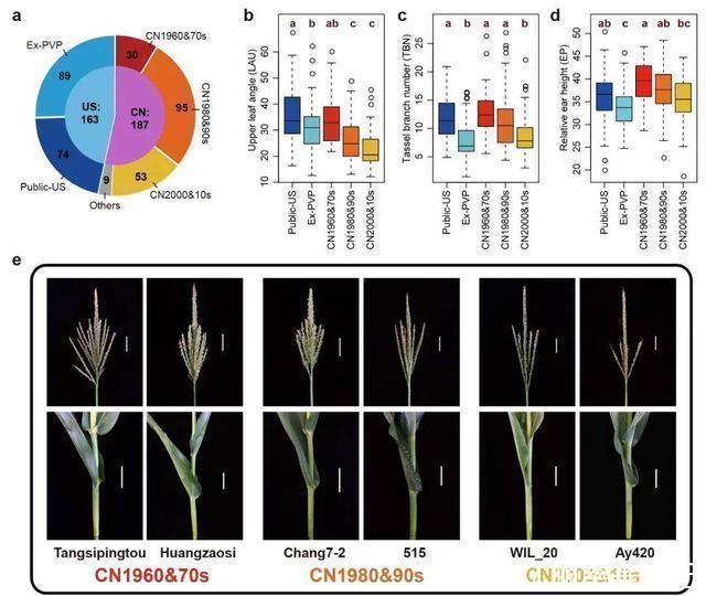 个体 为什么把种子送上太空再下来种,种出来的东西比较大?