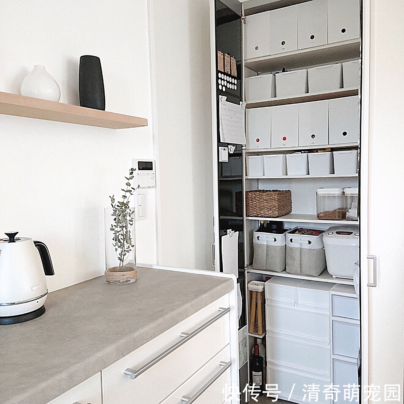 日本太太坚持一天收拾一个区域,家里整洁有序,真的很治愈