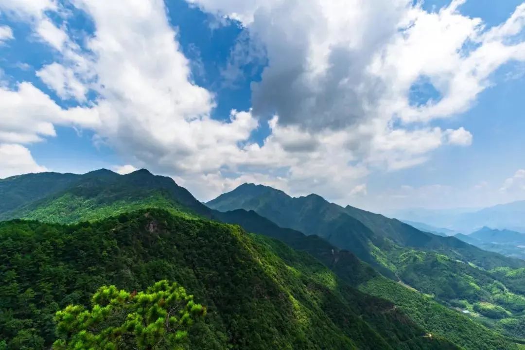 我在巾子峰，等你。|王楠带你游庆元 | 巾子峰