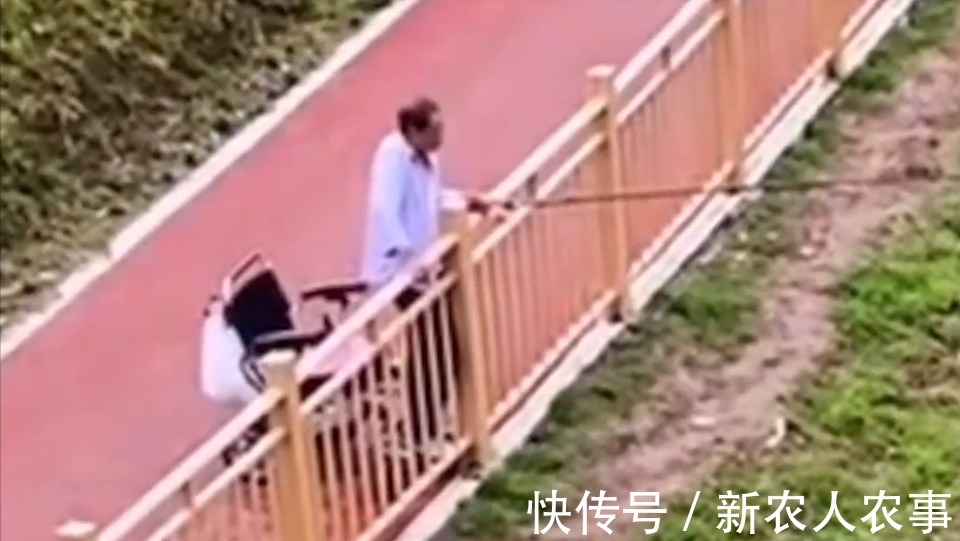轮椅|钓鱼人!重庆一大爷坐轮椅在河边垂钓,下一秒中鱼竟自己站了起来