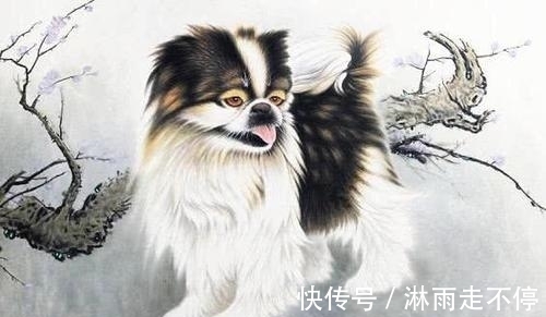 财运|1月起，金猪送财，财运红到发紫，富甲一方的3大生肖