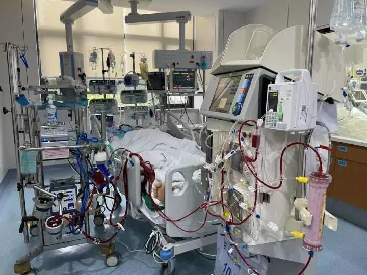 icu|一场感冒，浙江30岁小伙和68岁大伯急送ICU，用上ECMO！这病极易被忽视，恶化却极其迅速