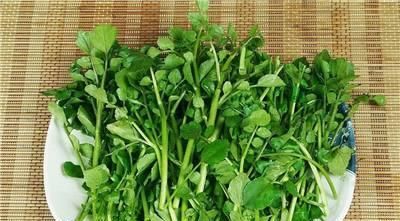 对身体很好的食物，平时常吃一些，健脑益智，滋阴明目，滋补身体