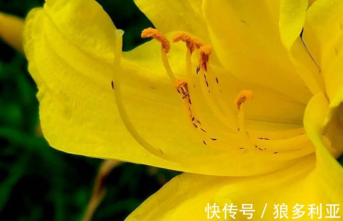 旧爱|20天后,忘记过往,容颜易老,旧爱不舍,新欢到来,你走吧