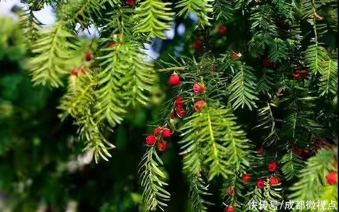 穿越丛林秘境 邂逅最美风景