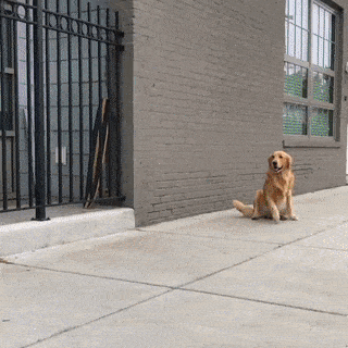 |搞笑GIF趣图:这难道就是传说中的,含泪吃了两大碗吗?