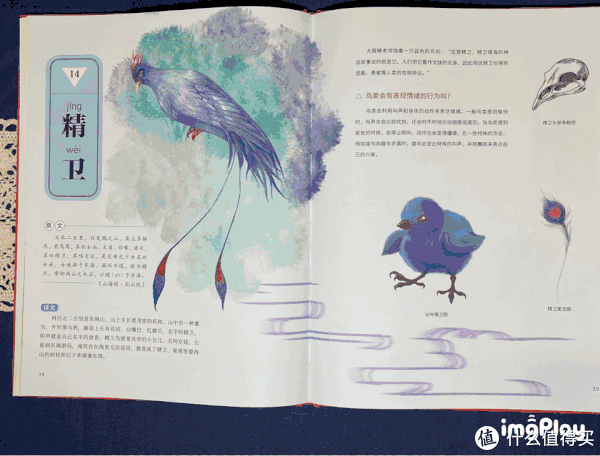 王羲之$成长的书柜 篇三十二:【双11童书值得买】精选10本/套小学生课外书单(拒绝云评)