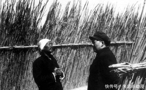 抗美援朝|抗美援朝前,林彪与主席意见不同,会议刻意避开主席目光