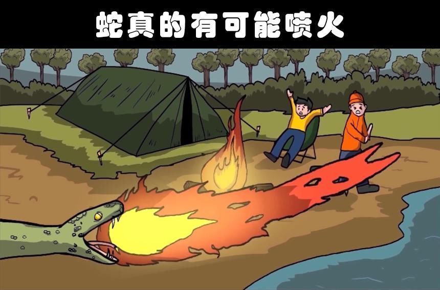 莫诺威|有趣事实这个世界上存在着的8个奇怪的冷知识