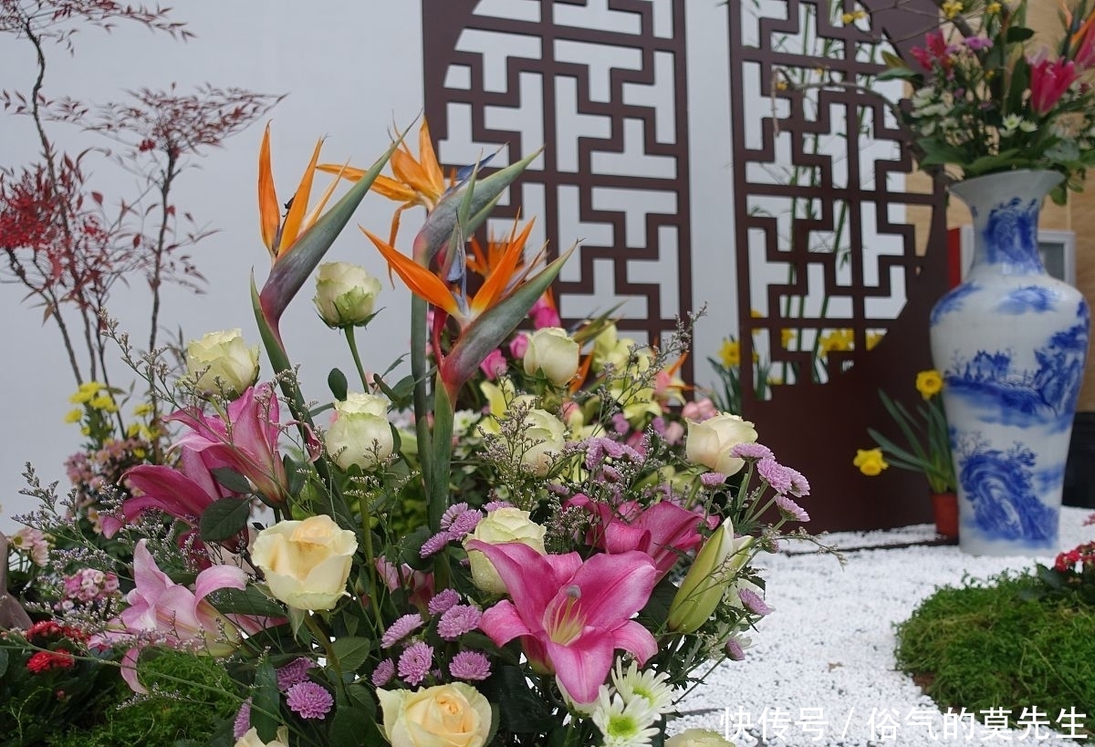 这7种年宵花,花开富贵、喜气临门寓意好,你最喜欢哪一种?