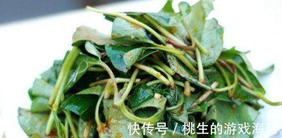 营养成分|想长寿要会吃，3种食物换着来，补充营养，身体棒棒哒！