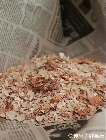 用完的鸡蛋壳千万别扔,不然让你超后悔