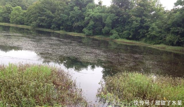 杂物|野钓最爱藏鱼的地方!