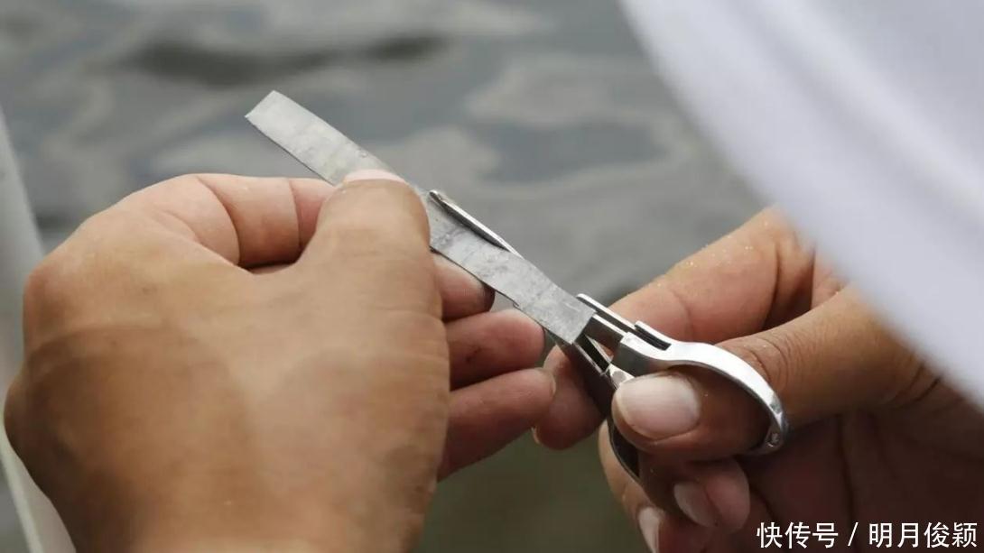 有漂相就是不上钩,此乃“人钓鱼鱼涮人”,啥原因不出以下3个