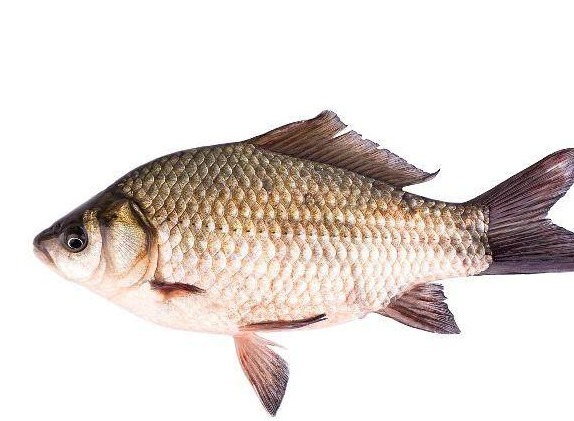 绿豆汤|什么东西不能和绿豆一起吃绿豆的最佳食物是这3种,你了解么