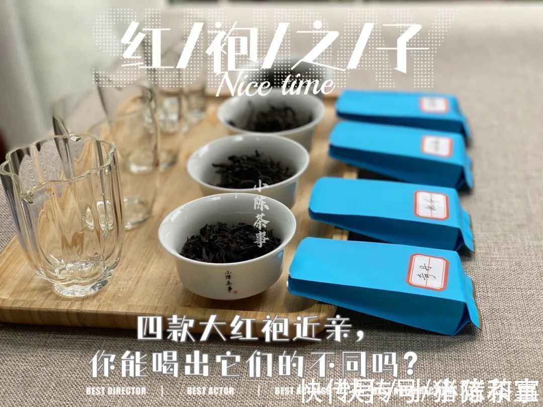 李麻花$四则茶圈秘辛，讲述大红袍后代们的跌宕故事，走进岩茶的历史变迁