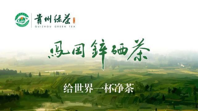 西湖龙井|且将新火试新茶，诗酒趁年华